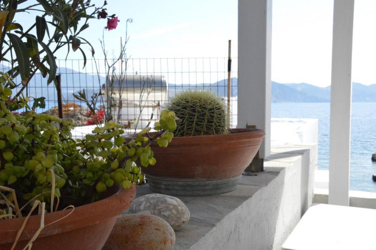 Вілла Thalassophile Eco House Plaka  Екстер'єр фото